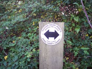 roadside nature reserve near strethall
